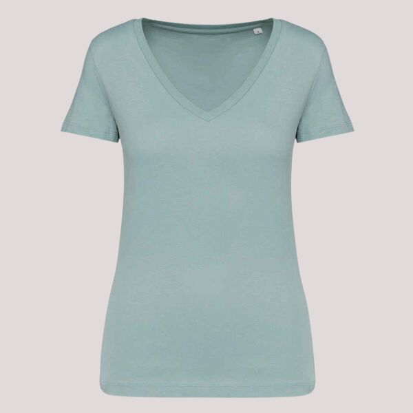 Native Spirit Ladies V Neck T-Shirt Thumbnail