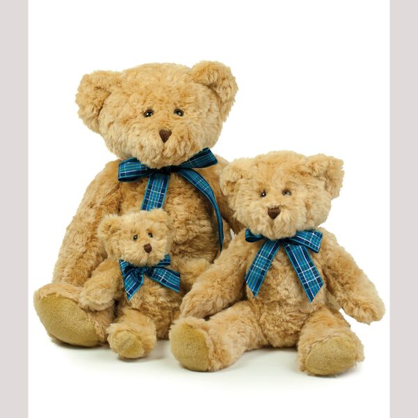 Mumbles Bracken Bear Thumbnail