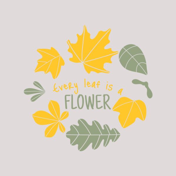 Fall Season 13 Thumbnail