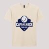 Softstyle™ adult ringspun t-shirt Thumbnail
