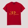 Ultra Cotton™ adult t-shirt Thumbnail